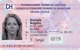 Führerschein Kaufen Ohne Ausweis